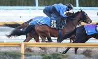 【若駒Ｓ】ディアドラの全弟イベントホライゾンは上積み伝わる雰囲気　池江調教師「今の荒れている馬場がカギ」