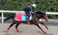【ＡＪＣＣ】９歳馬エヒトが５２秒１の好時計　８か月半ぶり復帰戦へ順調　陣営「体も若々しいですね」