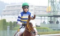 【萌黄賞】ワイドシュテルケが２連勝狙う　初戦は逃げ切り快勝　藤岡調教師「スタートも速い。開幕週向き」
