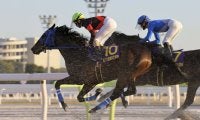 TCKの星・ディクテオン、ワールドベストレースホースランキング71位タイ…地方競馬所属馬として史上初の快挙