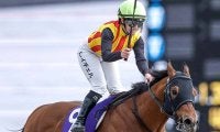 根岸SからフェブラリーSを連勝した名馬たち 軌跡を振り返る
