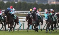 小倉牝馬Sは内枠狙いが吉 血統別ではステゴ系に注目