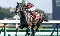 【小倉牝馬S予想】開幕週に行われるハンデ重賞 データが少ない難解な一戦