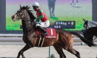 【競馬予想】AJCCも明け４歳馬が優勢　不気味なのはここに照準を合わせてきた「いぶし銀」