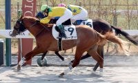 【京都３Ｒ・３歳新馬】米国産馬ホーナー初陣Ｖ　復帰後初勝利の浜中俊騎手「一個勝つと気分が違ってきますからね」