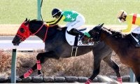【中山２Ｒ・３歳未勝利】さすがキング姐さん！　スノースコールを鼻差で踏ん張らせてＶ　「馬がファイト」