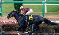 【プロキオンS予想】スピードが問われる舞台で大型馬は不利!? 前走圧勝も過去傾向から評価を下げたい1頭とは