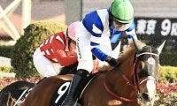 中山ダートは大型馬＆ストームキャット系を狙え 江戸川Sはアジアミッションが波乱呼ぶ