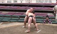 大相撲土俵外でヒヤリの瞬間…力士落下で“同時に3名”倒れるハプニング発生　ファン驚き