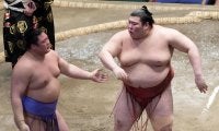 熱海富士「ブルドーザー」論争勃発も面目躍如！３敗を守り優勝の可能性が安青錦と２人に絞られる