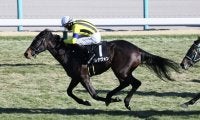 【若竹賞】インディチャンプ産駒 ブレナヴォンが2勝目