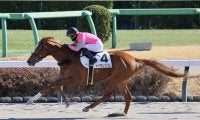 【新馬/中山4R】9番人気の伏兵トーアエレクトラムの豪快な追い込みが炸裂