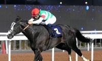 【アブダビゴールドＣ】さすがマジックマン！　神業リードのモレイラ騎手「別次元の馬」シュトラウスが初代王者