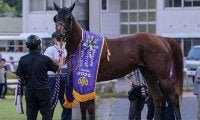 佐賀記念に好メンバー集結 「地方の連対率100％馬」と「中央の現級複勝率100％馬」に注目