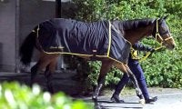 【クイーン賞】トップハンデ５７キロ克服　１番人気のテンカジョウが重賞４勝目　松山弘平騎手「非常に強かった」