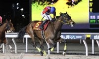 【クイーン賞】テンカジョウが交流重賞4勝目…2着は大井マーブルマウンテン