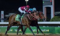 日本勢がサウジに集結！フォーエバーヤングらサウジカップデーJRA出走予定馬