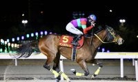【クイーン賞】勝敗分けた“外差し馬場”松山「外を意識した」レース後ジョッキーコメント