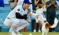 LAに出現した巨大な大谷とデコピン　米紙注目、近づく“別れも”…「深い絆が永遠に」
