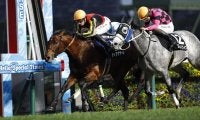 【阪急杯】3連勝中ディアナザールなど18頭