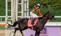 【先週のJRA抹消馬】ダート重賞4勝のクラウンプライド、芝マイルで活躍のウンブライルなど