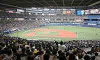 【オリックス】本拠地・京セラドーム大阪の人工芝張り替え　3月2日のWBC強化試合で披露
