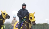 【フェブラリーＳ】ウィルソンテソーロ悲願の中央Ｇ１初勝利へ　高木調教師「どこでも結果を出してくれる」