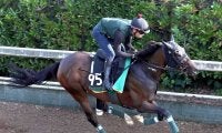 【小倉大賞典】初の古馬重賞挑戦でも注目　前走同舞台Ｖエラトーに陣営は自信あり「前走くらい走れれば勝ち負けでも」