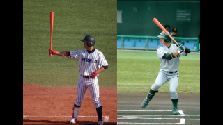 【OB質問企画】立大OB 佐藤拓也氏