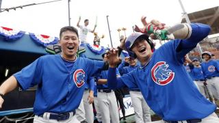 MLBドリームカップ　フォトギャラリー１