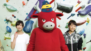 完結編　ブルステお正月特番：新春！登ってブルって飛んでけ杯！