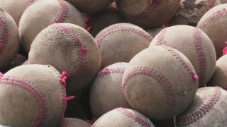 桐蔭横浜大学硬式野球部が猛スピードで成長を遂げた理由～挨拶と自主性～