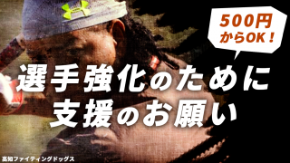 ＼残り３日／高知ファインディングドッグスの新しい挑戦を応援！
