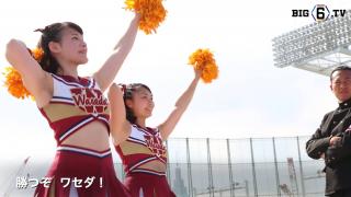 【応援団特集】早稲田「魁」今週末は早慶戦！