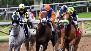 菜七子とコンビ継続！コパノキッキング、次走は「東京スプリント」に決定