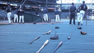 野球バットの異変 ～アオダモに代わる素材を求めて「北緯42度線」から～