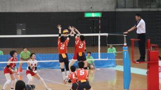 バレーボール 競技ガイド