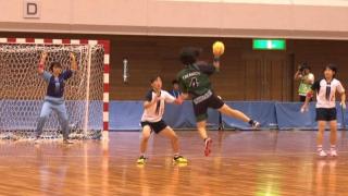 ハンドボール 競技ガイド