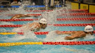 飛び込み 競技ガイド