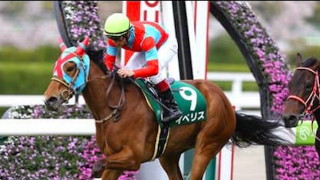 セントウルＳは、重賞実績のある３歳馬と北九州記念組で大勝負