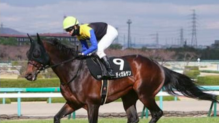 穴党記者が京成杯AHを徹底分析。開幕週でも狙いは末脚自慢の４頭だ