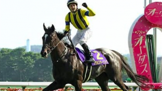 藤沢厩舎でも評判のスパングルドスター。姉たち以上の活躍を見せるか