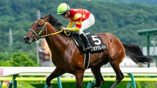 春の実績馬が不在のセントライト記念。狙いは人気薄の夏の上がり馬