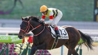 「２強」断然の神戸新聞杯。一角崩しの期待は先行する上がり馬２頭