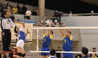 春高バレー栃木代表　男子は足利大付、女子は国学院栃木