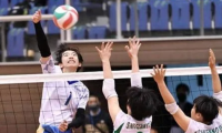 大阪は清風、金蘭会など４校が全国切符　春高バレー地方大会