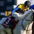 【目黒記念】9歳でも元気 「白毛のアイドル」ハヤヤッコが重賞4勝目なるか
