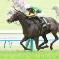【函館記念・理貴の特注馬】前走でオープン入り果たした昨年のオークス５着馬に期待　相手なりに崩れない安定感が光る