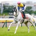 【先週のJRA抹消馬】重賞3勝を挙げた白毛馬ハヤヤッコ、芝・ダート・障害で白星を挙げたガンダルフなど