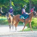 全兄に皐月賞馬のジオグリフ ロスパレドネスが日曜福島で初陣/関東馬メイクデビュー情報